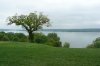 Potomac from Mt Vernon.jpg