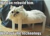 rebuild_cat.jpg