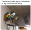 vegan mount.png
