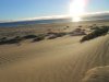Near Sunset on Dunes.jpg