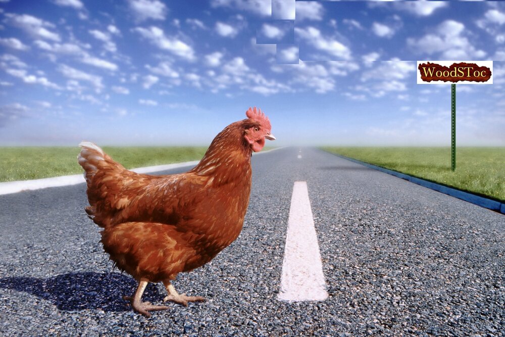 chicken_ft-scaled.jpg