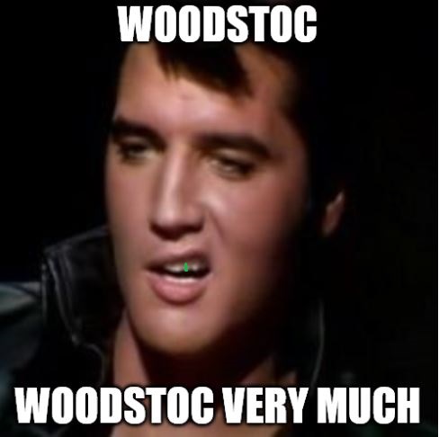 ElvisYouHaveALIttleParsleyBetweenYourTeeth.JPG