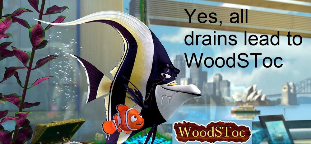 findingwoodstoc-ifyoucanfinsabetterstocletminnow.JPG