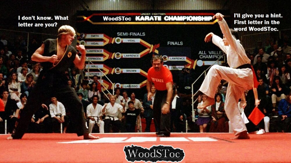 karate at woodstoc. naw just kidding.jpg