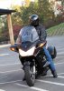 Fall Leaf Tour011 stoc.jpg