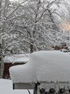 IMG_20200416_175500.jpg