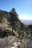 Guadalupe Mountains_Davis Mountains Trip ST_owners 2_09 753 (Medium).jpg