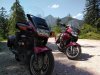 IMG_20200808_123815.jpg