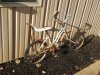 20200905_084513.jpg