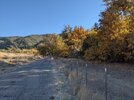 PXL_20201128_223923526.jpg