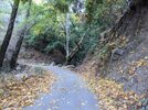 PXL_20201128_224145717.MP.jpg