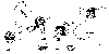 st1100-carburettor-components-1.gif