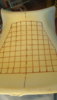 DSC02976 - Copy.JPG