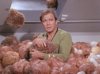 270px-ST_TroubleWithTribbles.jpg