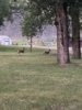 18016219-823D-4FFA-9F17-342084DC3CD6.jpeg
