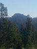 EC1BED3D-92F1-41BC-AB92-B0FDF0F90176.jpeg