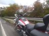 IMG_20211005_120428047.jpg
