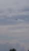 IMG_20220629_143759.jpg