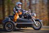 David Haynes sidecar dog.jpg