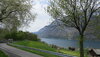 IMG_2637.JPG IMG_2637.JPG