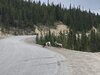 IMG_5308.jpeg