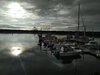 IMG_20230830_174859.jpg