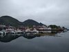 IMG_20230901_165030.jpg