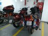 IMG_20230902_064229.jpg