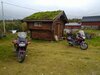 IMG_20230903_175218.jpg