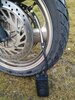 IMG_20230904_074820.jpg