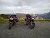 IMG_20230908_081701.jpg