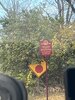 IMG_5847.jpeg