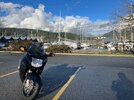 IMG_3385.jpg