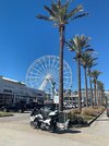 IMG_3105.jpeg