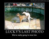 Luckys Last Photo.jpg
