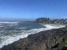 IMG_4537.jpeg