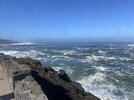 IMG_4538.jpeg