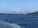 IMG_4567.jpeg