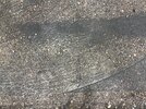 IMG_0170.jpeg