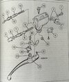 Haynes2.jpg