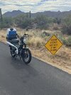IMG_0486.jpeg
