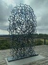 20240906_132318.jpg