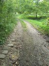 20240906_160856.jpg