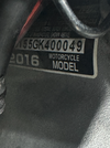 IMG_8743.png