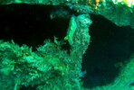 nudi.jpeg