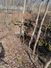 20250210_134050.jpg