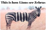 1740021768063.png