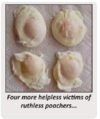 POACHERS.png
