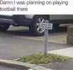 Grass.jpg Grass.jpg