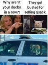 1740489660884.jpeg
